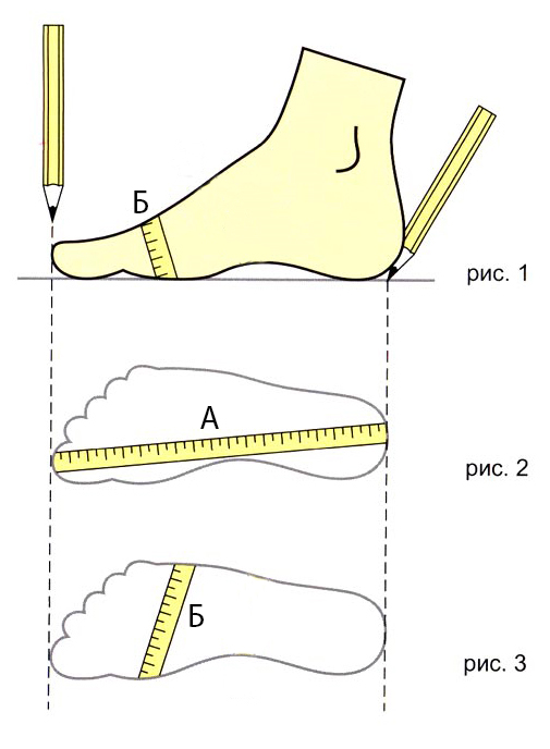 Как правильно измерить ногу :: Crispino - обувь для танцев